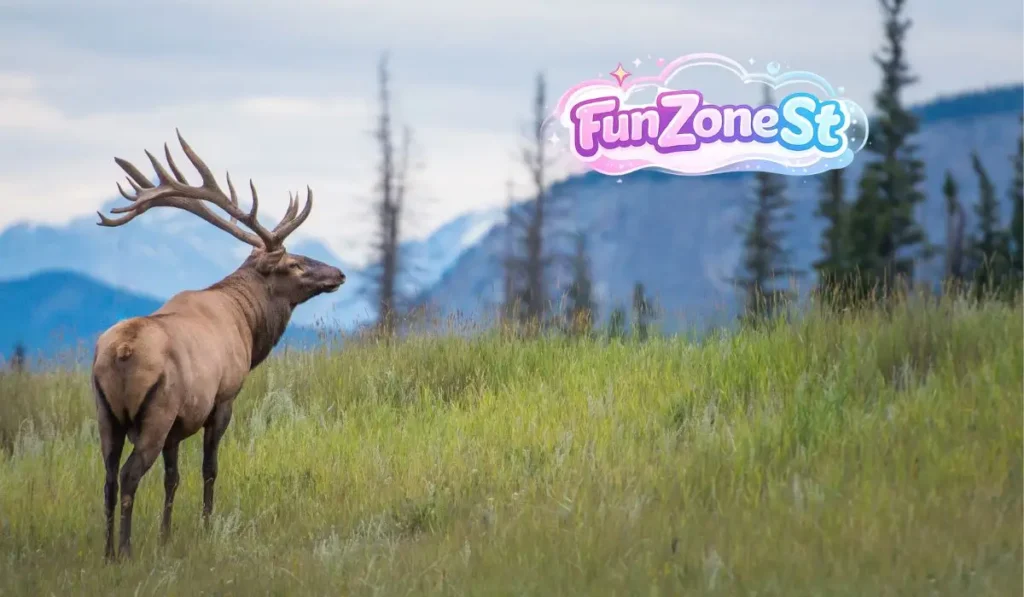 Mind-Blowing Antler Growth Facts