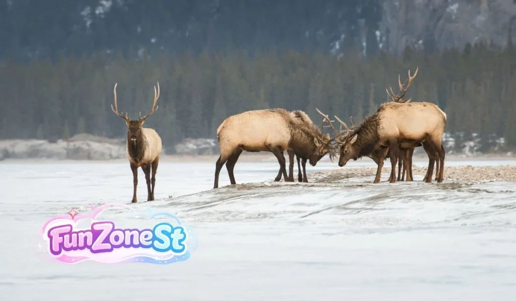 Social Structure and Herd Behavior
