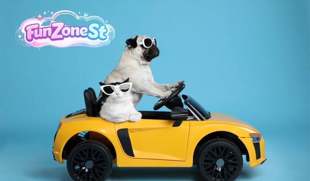 Dog Fun Toys
