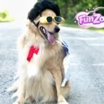 Elvis Fun Facts