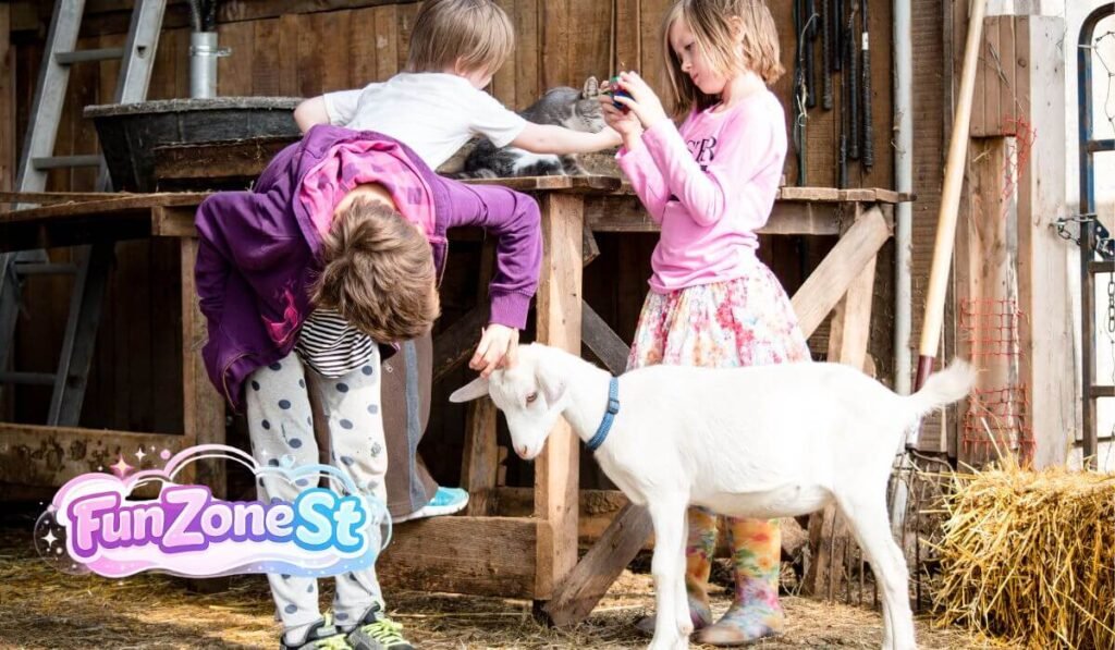 Engaging Farm Fun Options for Kids and Families
