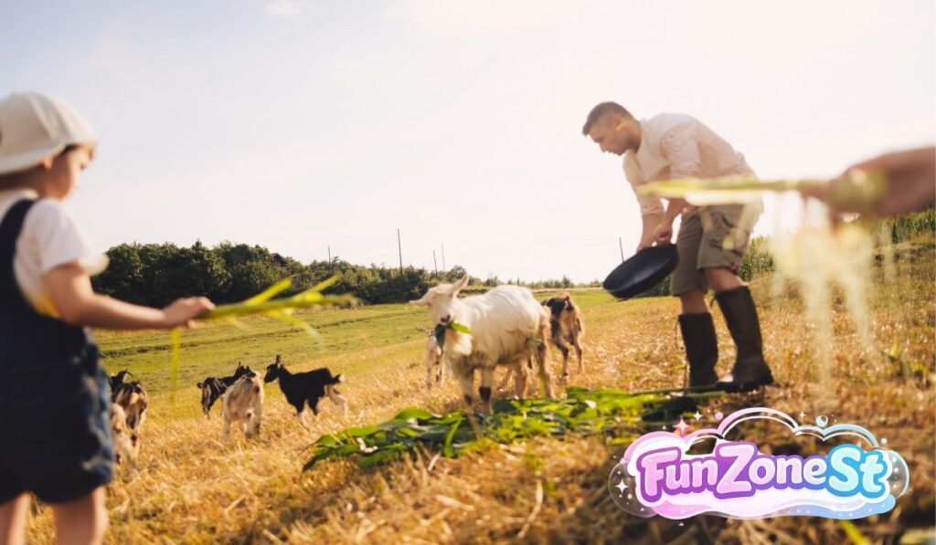 Top Seasonal Farm Activities for Every Visitor